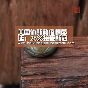 美国休斯敦疫情蔓延:25%接受新冠病毒检测者呈阳性‘开元官网app’(图4) 开元appapp